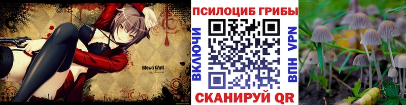 OMG ССЫЛКА  Шатура  Галлюциногенные грибы MAGIC MUSHROOMS  даркнет сайт 